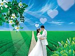 茶 茶园 人物 婚纱 浪漫 花 茶花 爱心 绿色 蓝天 爱情 阳光 道路 小路