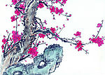 梅花与奇石