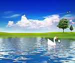 自然美景
