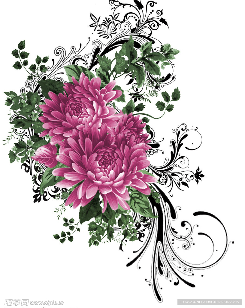 时尚花纹-精美手绘花纹-PSD分层