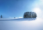 雪景