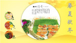 春夏秋冬菜肴
