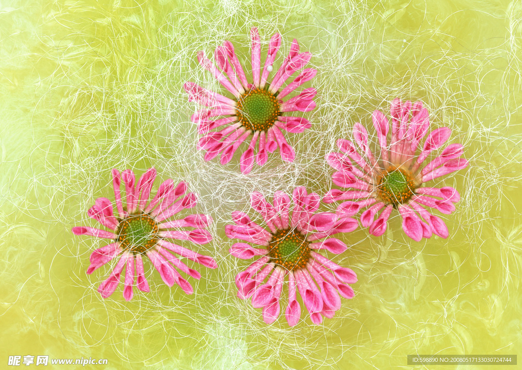 鲜花