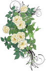 时尚花纹-精美手绘花纹-PSD分层