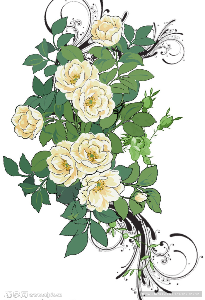 时尚花纹-精美手绘花纹-PSD分层