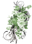 时尚花纹-精美手绘花纹-PSD分层