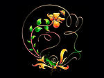 花边花纹