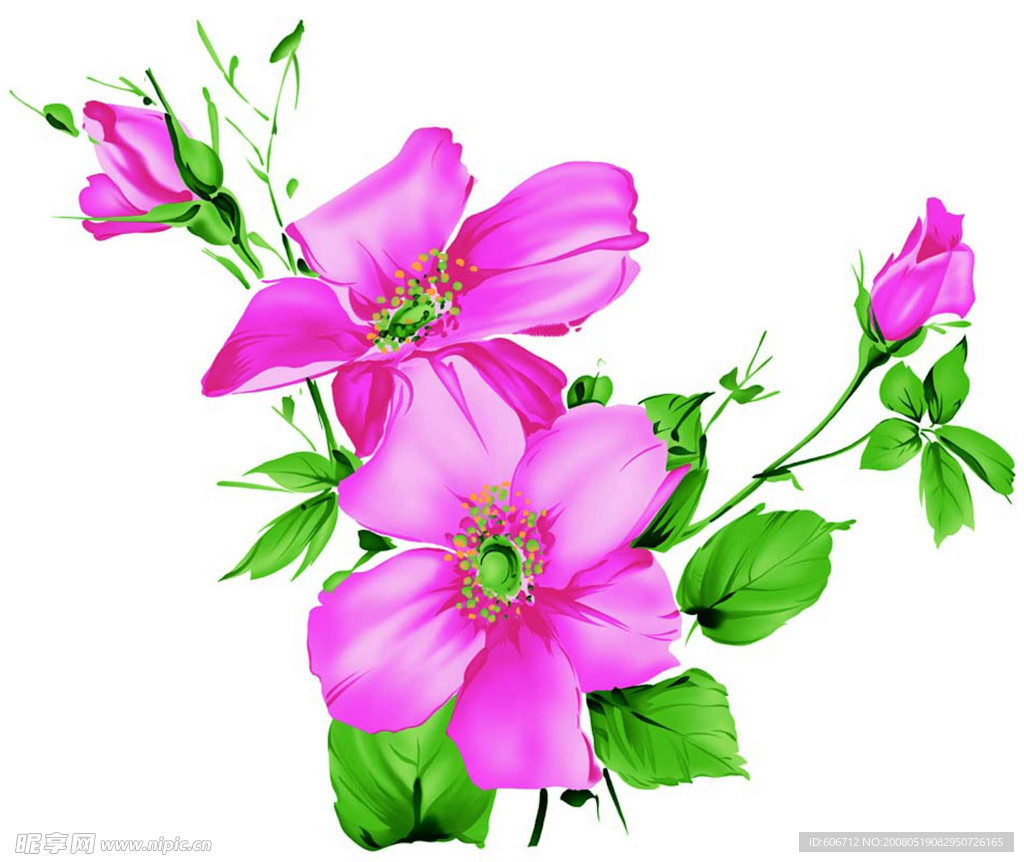 喷绘花