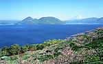 风景