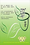 茶广告
