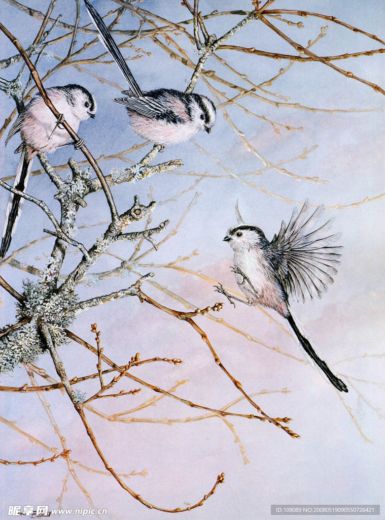 油画