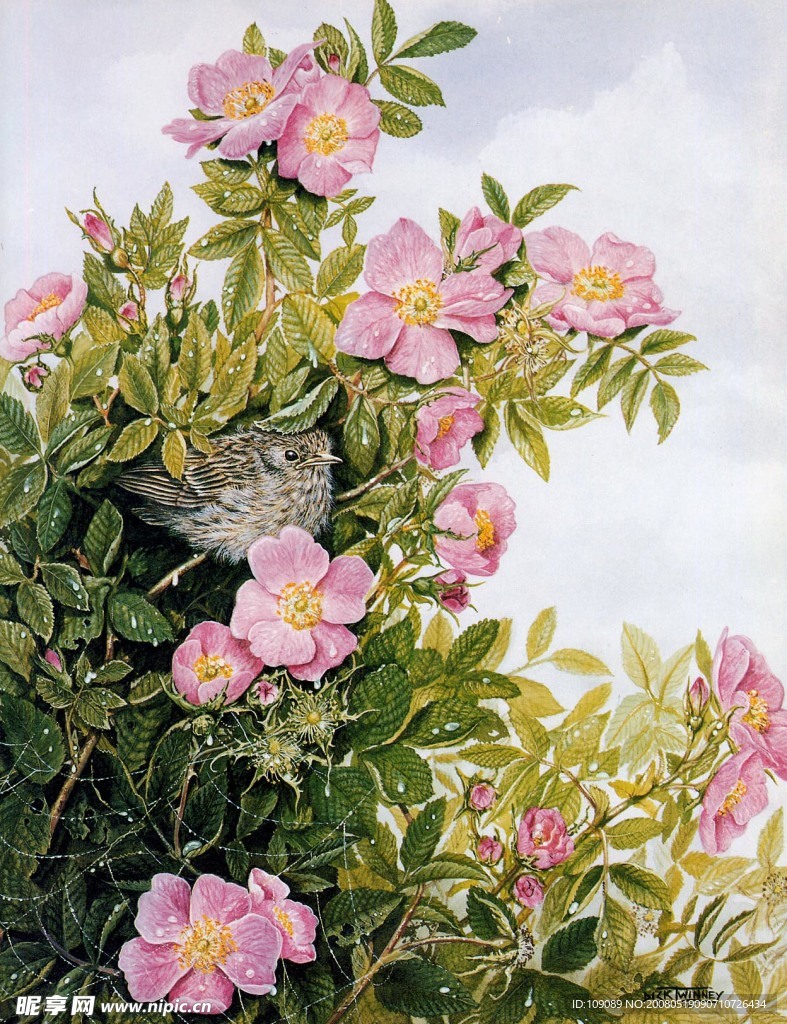 油画