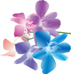 时尚花卉矢量素材
