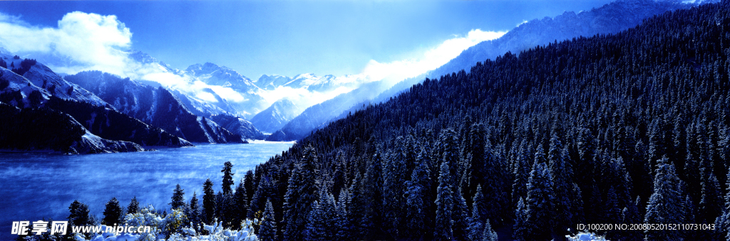 雪山森林