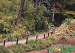 道路美景