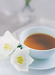 奶茶