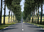 道路