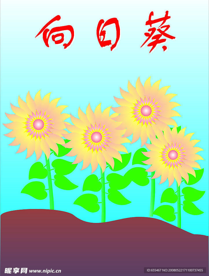 向日葵