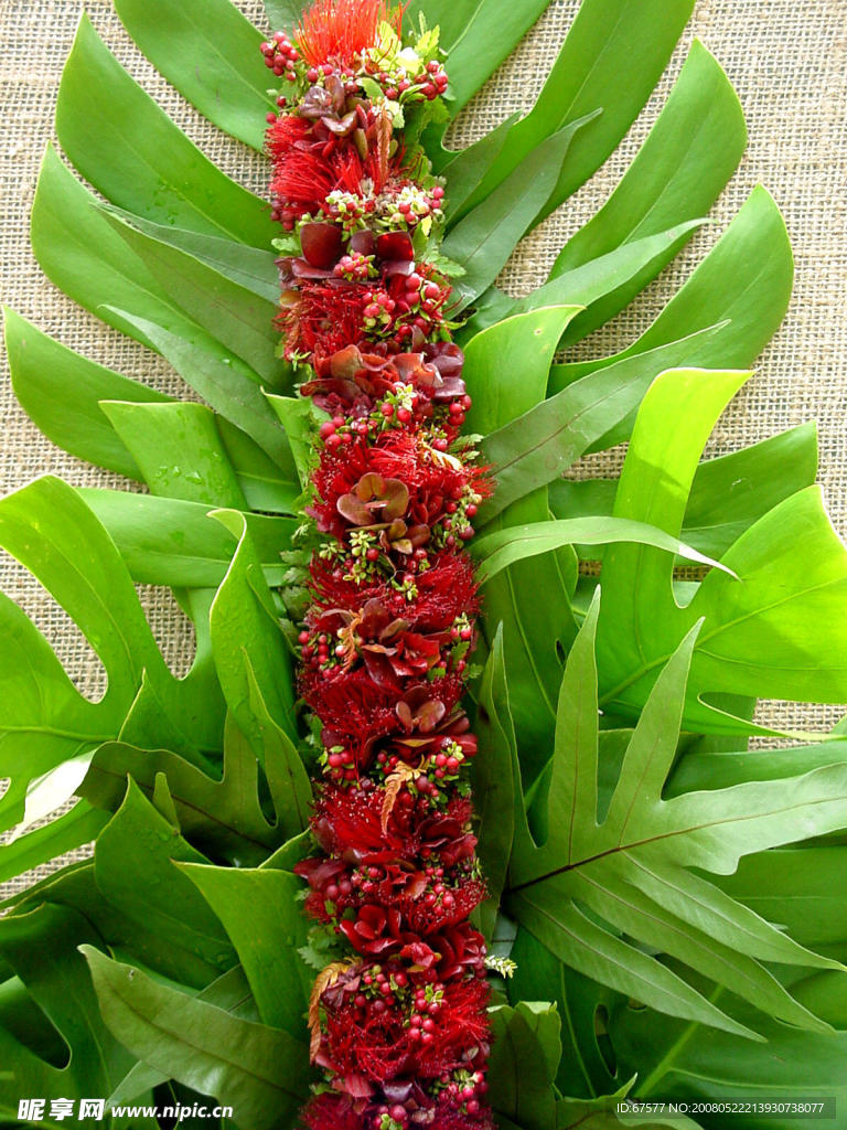 花束 鲜花