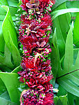 花束 鲜花