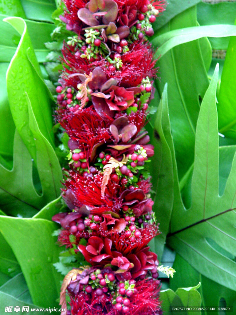 花束 鲜花