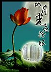 地产广告