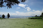 山水风景
