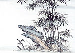 竹·石