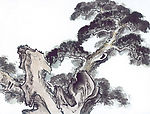 松·石