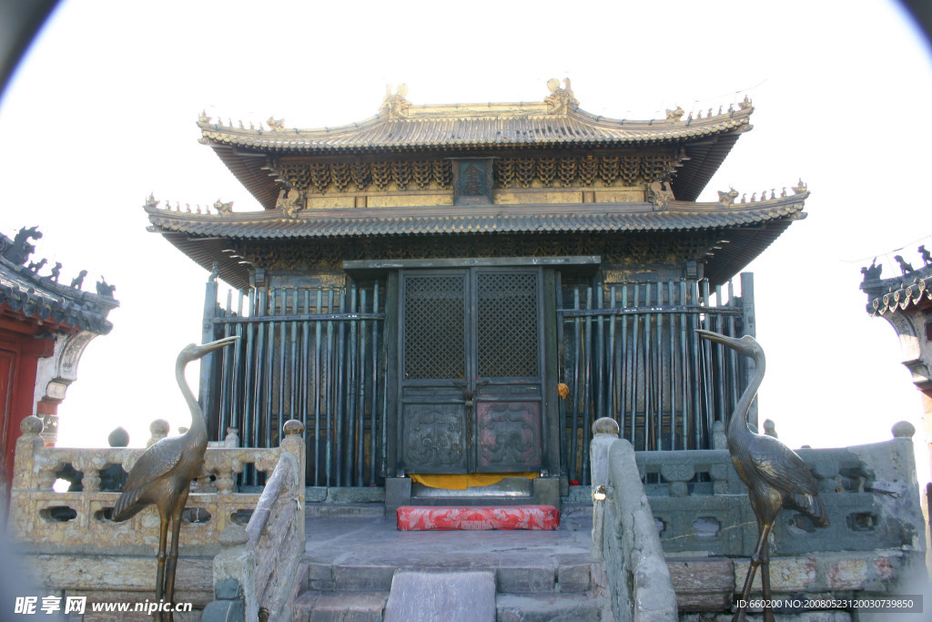 金顶