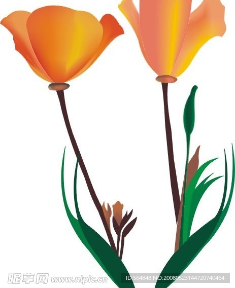 花
