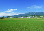 风景