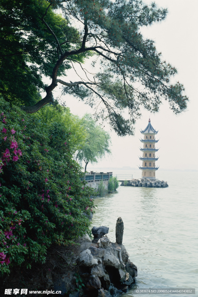 树与塔