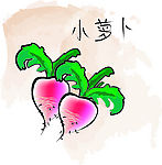 可爱小萝卜