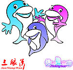 海豚
