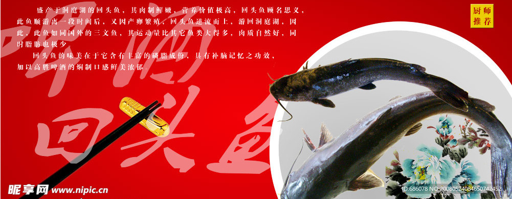 鱼广告