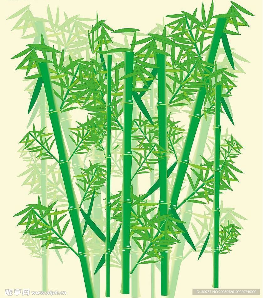 竹子