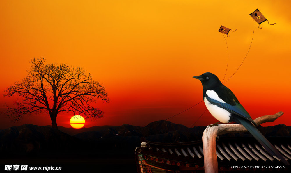 夕阳