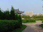 浑河