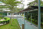 庭院