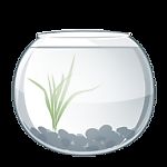 透明鱼缸