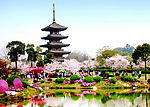 东湖风景