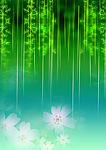 雨的季节