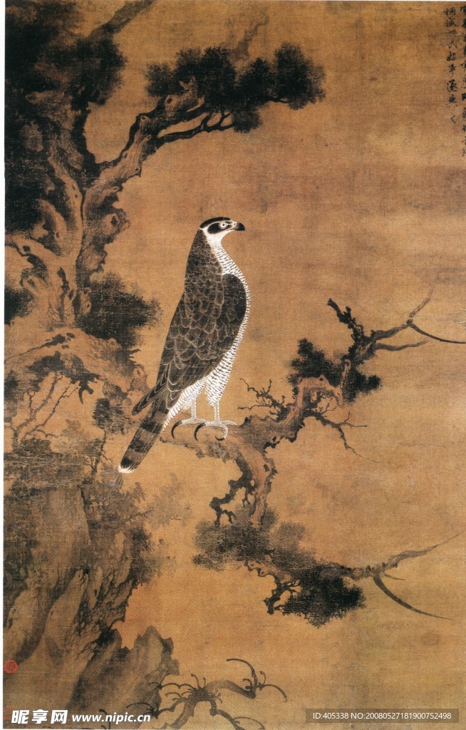 鹰桧图