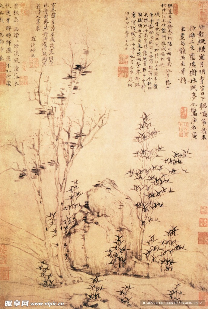 琪树秋风图