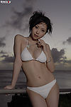 泳衣美女