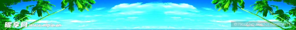 椰林天空