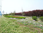 公路绿化带