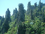碧树奇峰
