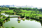 后花园